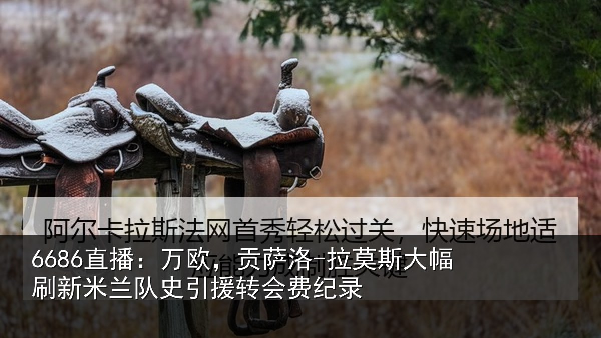 6686直播:万欧,贡萨洛-拉莫相关情况史引援转会费纪录