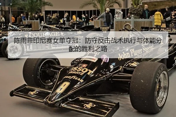 chen-yu-fei-yin-ni-sai-nv-dan-duo-guan-fang-shou-fan-ji-zhan-shu-zhi-xing-yu-ti-neng-fen-pei-de-sheng-li-zhi-lu-2-570.jpg