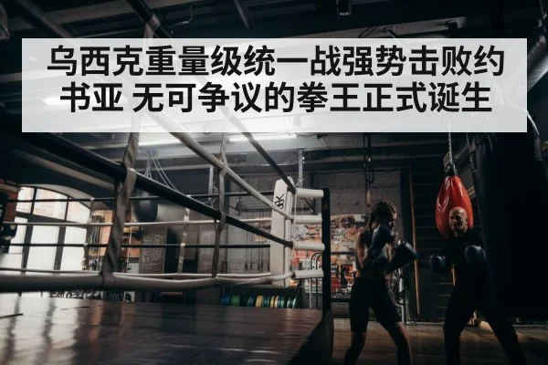 boxer training
